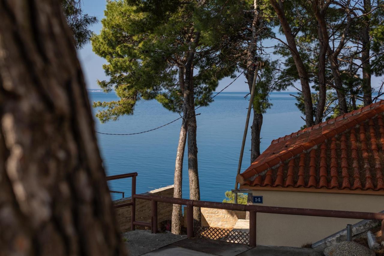 Urban Edge - * Omis